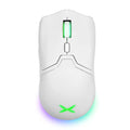 MOUSE DELUX M800 - PAW 3395